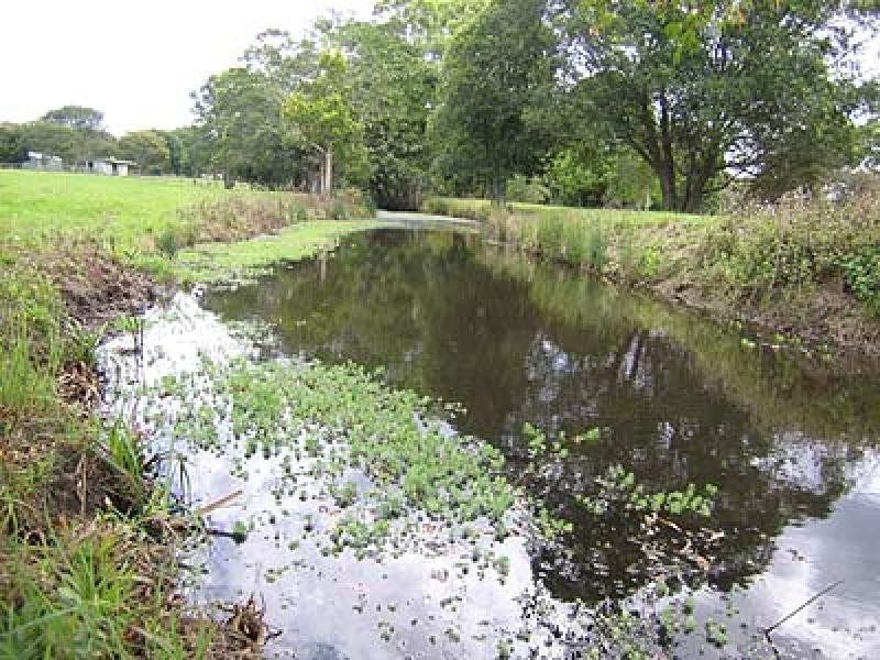 Lot 21 Nicole Court, Mooloolah Valley QLD 4553