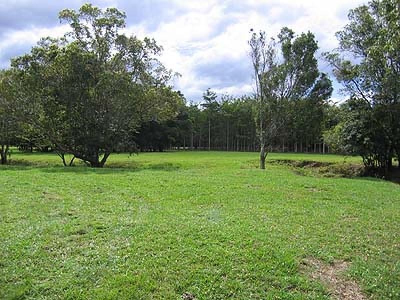 Lot 21 Nicole Court, Mooloolah Valley QLD 4553