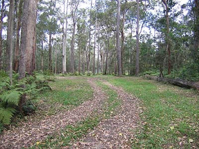 Lot 21 Nicole Court, Mooloolah Valley QLD 4553