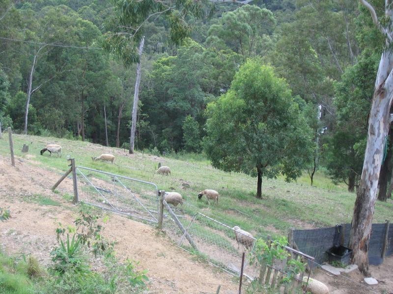 Diamond Valley QLD 4553