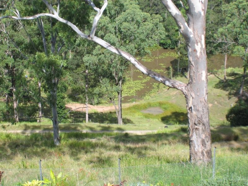 Diamond Valley QLD 4553