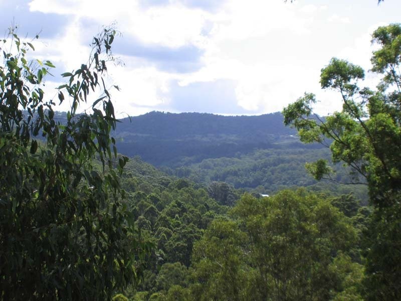 Diamond Valley QLD 4553