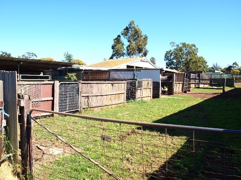 Newtown QLD 4350