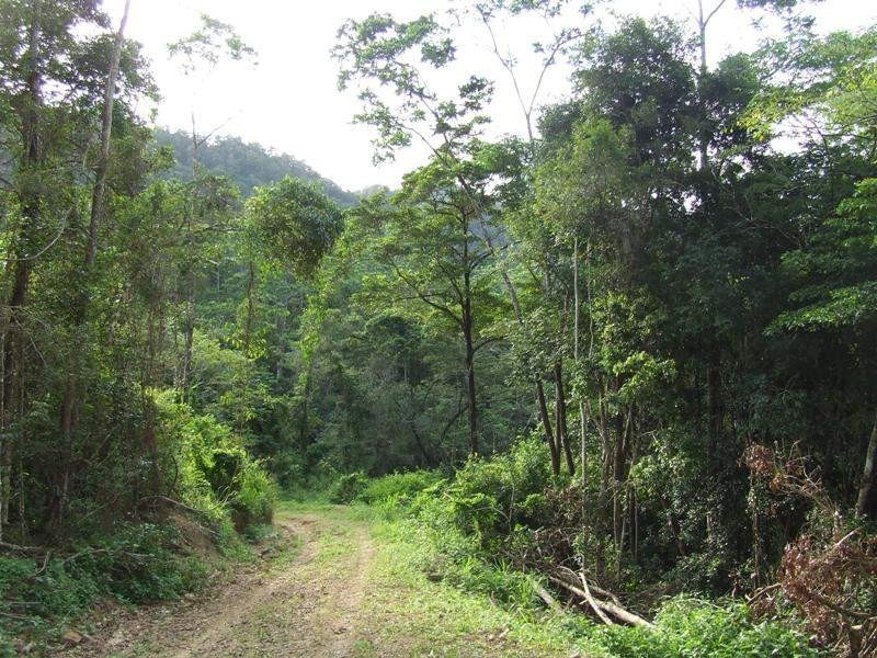 Mount Charlton QLD 4741