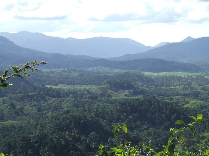 Mount Charlton QLD 4741