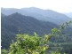 Mount Charlton QLD 4741