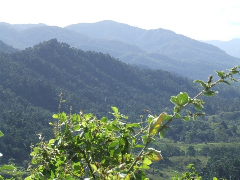 Mount Charlton QLD 4741