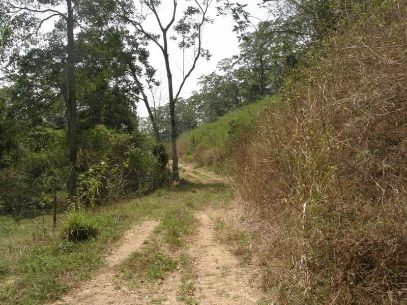 Mount Charlton QLD 4741