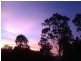 Palm Grove QLD 4800