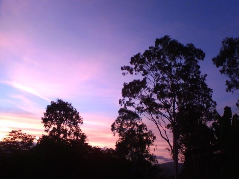 Palm Grove QLD 4800
