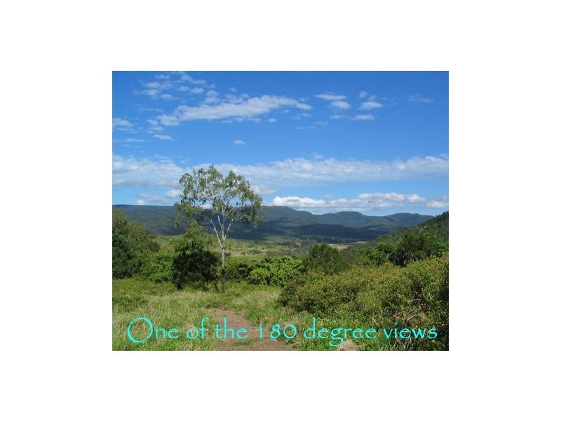 Palm Grove QLD 4800