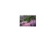 Palm Grove QLD 4800