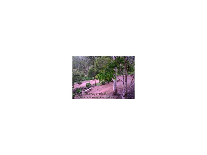 Palm Grove QLD 4800
