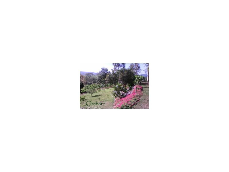 Palm Grove QLD 4800