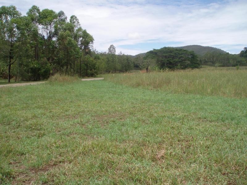 Palm Grove QLD 4800