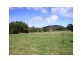 Palm Grove QLD 4800
