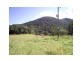 Palm Grove QLD 4800