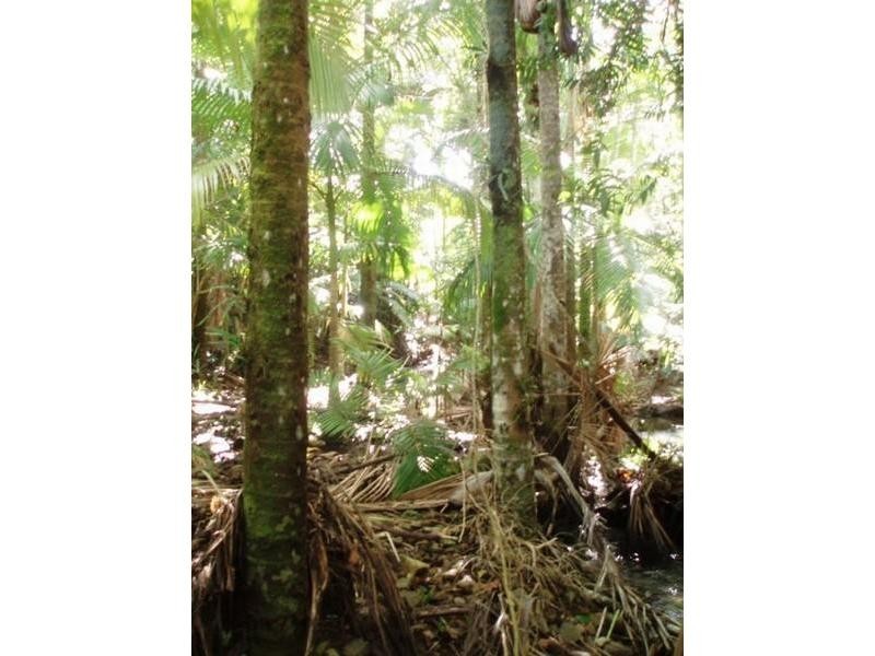 Palm Grove QLD 4800