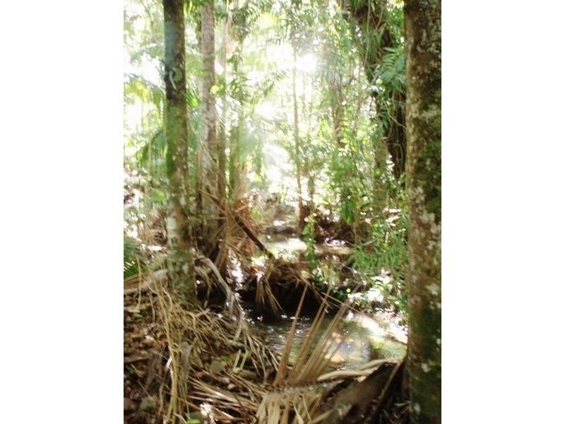 Palm Grove QLD 4800