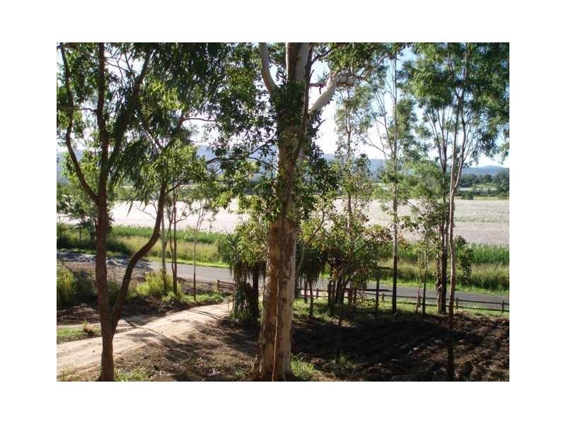 51 Brandy Creek Road, Brandy Creek QLD 4800