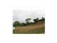 Bowen QLD 4805