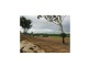 Lot 5 King Street, Bowen QLD 4805