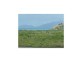 Lot 5 King Street, Bowen QLD 4805