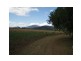 Lot 4 Bruce Highway, Proserpine QLD 4800