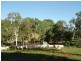 1117 Conway Road, Conway QLD 4800