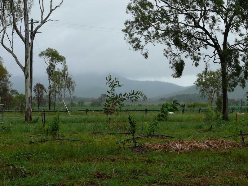 Crystal Brook QLD 4800