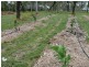 Crystal Brook QLD 4800