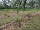 Crystal Brook QLD 4800