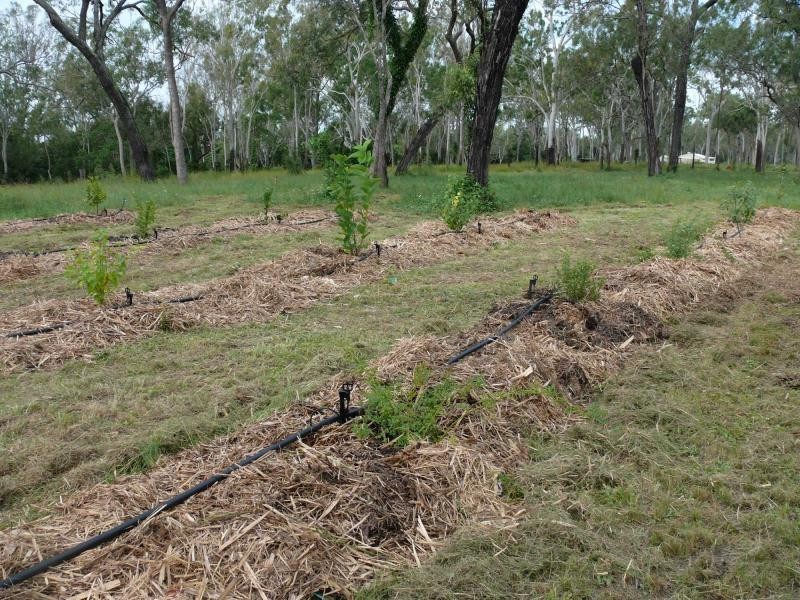 Crystal Brook QLD 4800