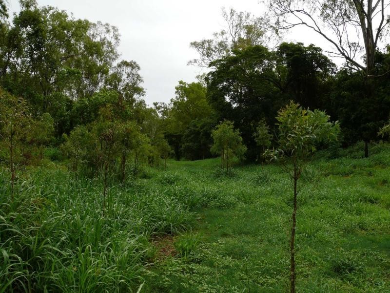 Crystal Brook QLD 4800