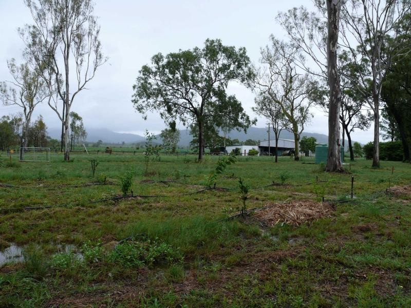 Crystal Brook QLD 4800