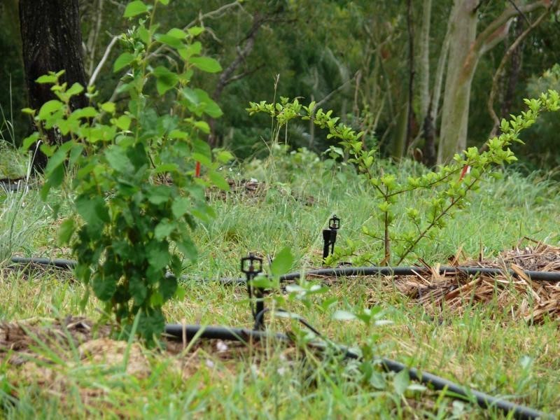 Crystal Brook QLD 4800
