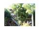 Cape Gloucester QLD 4800