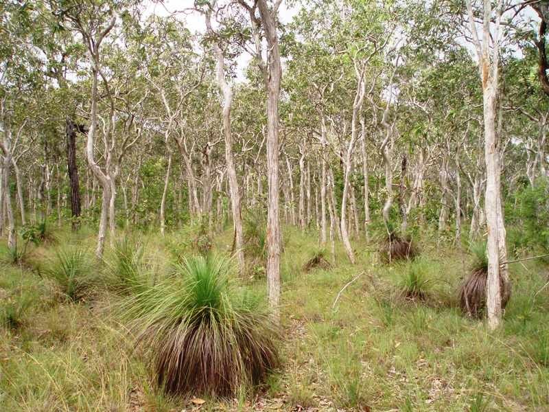 Lot 10 Lakeside , Estate, Laguna Quays QLD 4800