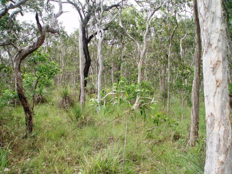 Laguna Quays QLD 4800