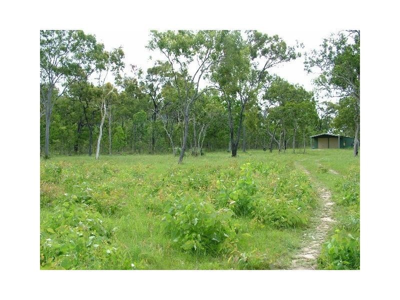 Midge Point QLD 4799