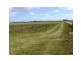 Lot 7 Wandarra Road, Proserpine QLD 4800