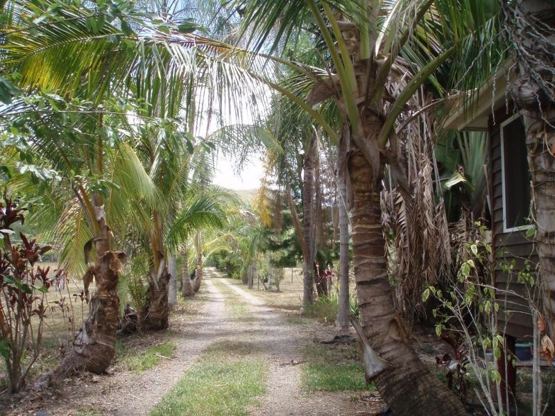 1050 Conway Road, Conway QLD 4800