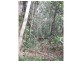 Cannonvale QLD 4802