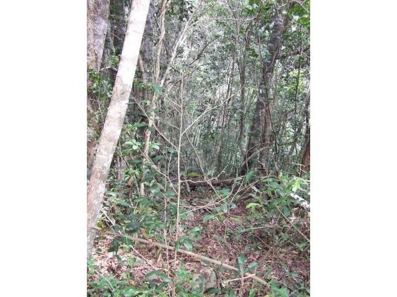 Cannonvale QLD 4802