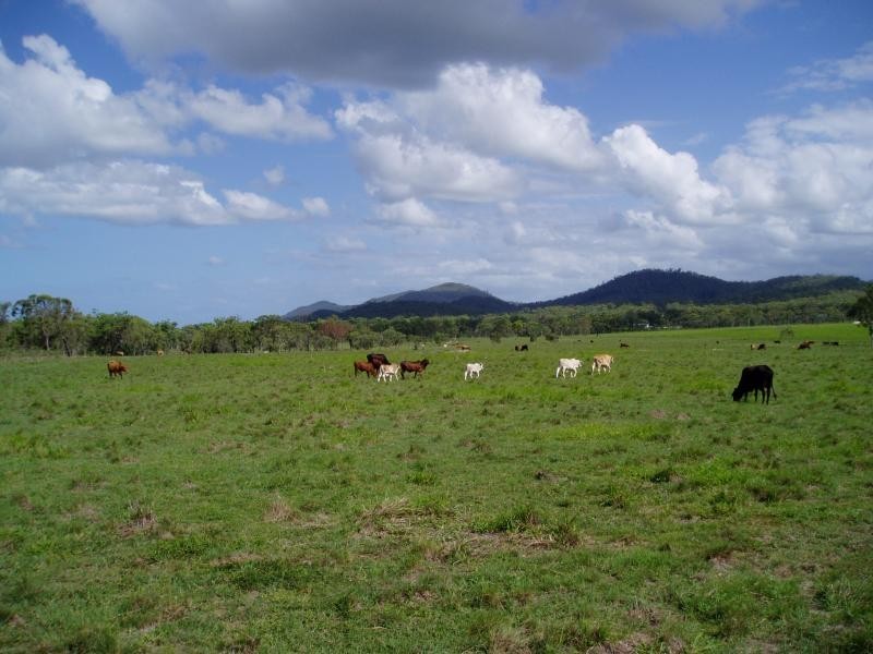 Bloomsbury QLD 4799