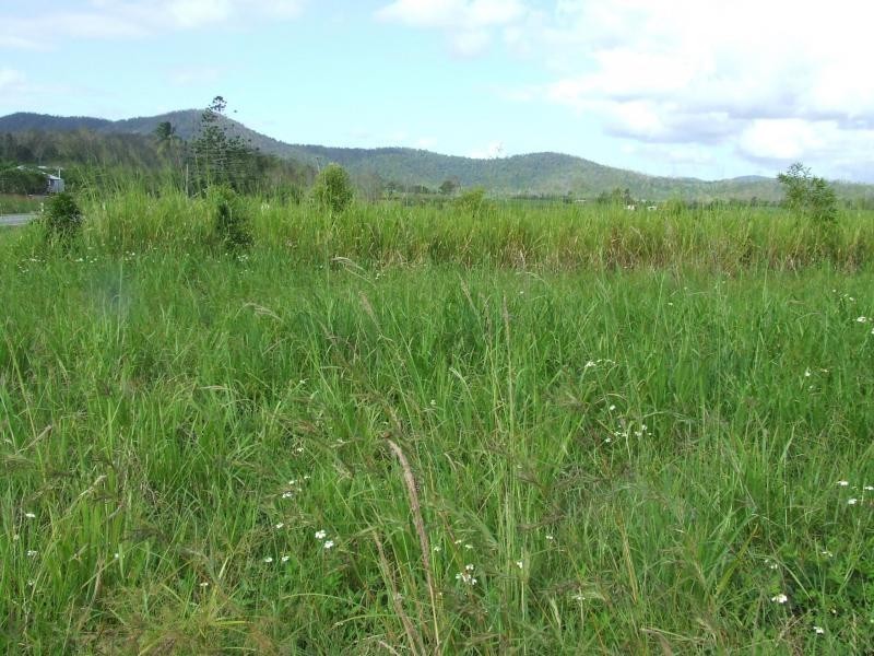 Gregory River QLD 4800