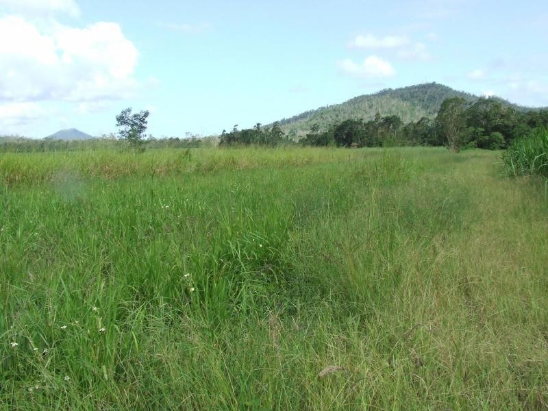 Gregory River QLD 4800