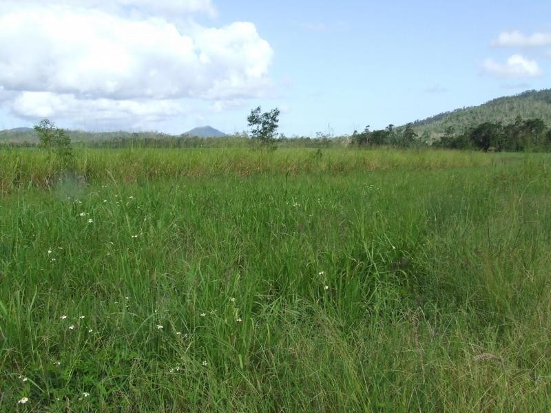 Gregory River QLD 4800