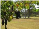 Lot 35 Kelman Estate  North, Pokolbin NSW 2320