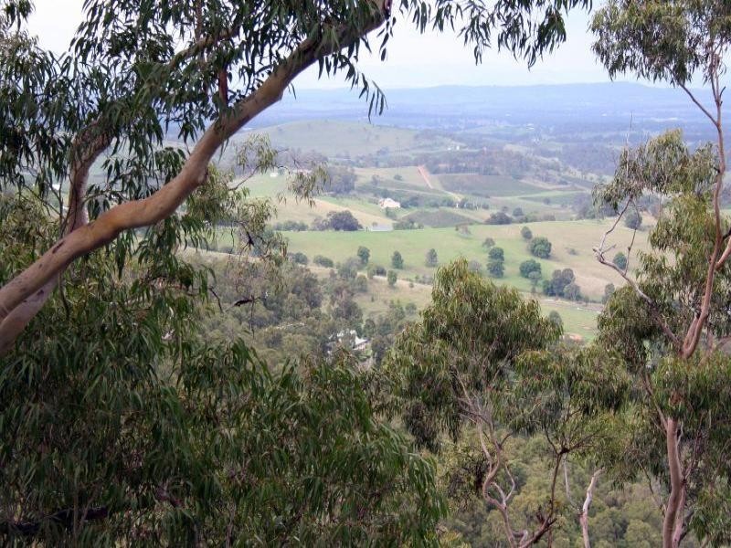 37 Moon Mountain Drive, Mount View NSW 2325